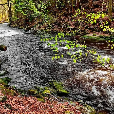 Appartamento Zeleny Prostorny Aparman V Ceskem Raji Koberovy Esterno foto